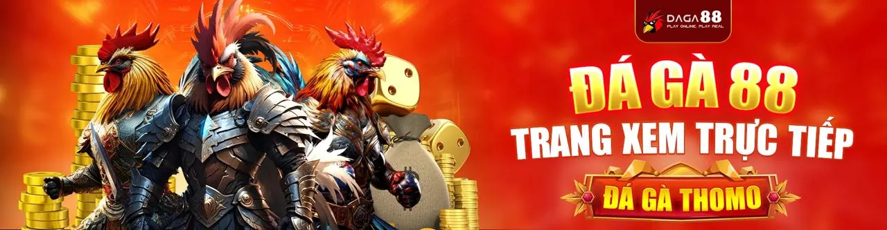 Hỗ trợ khách hàng 78wim Code chuyên nghiệp